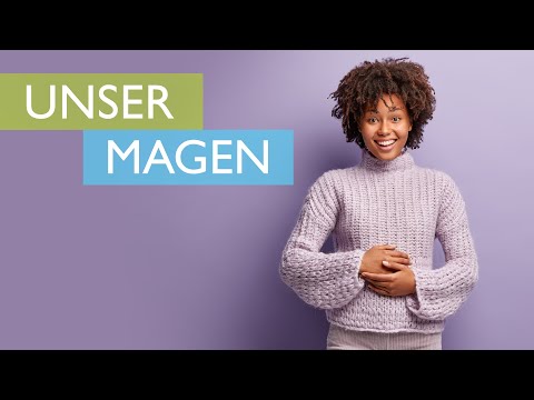 Unser Magen - Funktion und häufige Erkrankungen