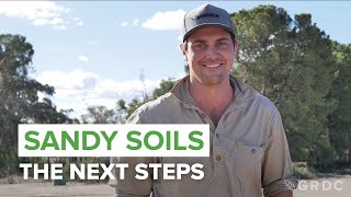 Sandy soils: The next steps