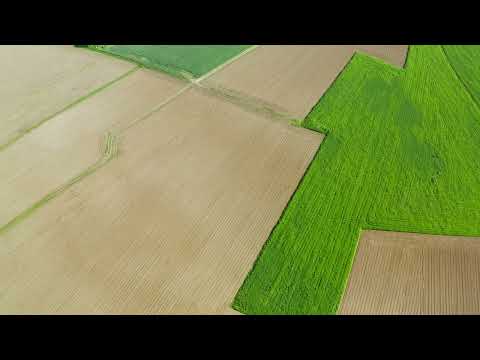 Video de YouTube - Campo en Venta - Lavalleja