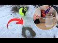 Stop Salting Your Driveway Try This 2 Minute Ice Melt Hack