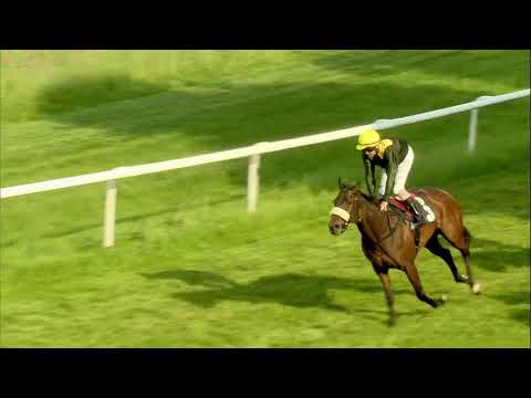 Galopprennbahn Dresden  - 25.05.2019 - Rennen 8