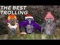 The BEST Voice Trolling Video You’ll See… (Gorilla Tag) Ft Elliot?, K9?