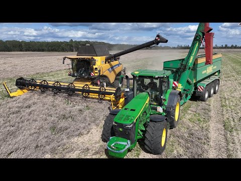 Großeinsatz Rapsernte 2023 mit 3 Mähdrescher & Traktor 8R - three of the largest Combine Harvester
