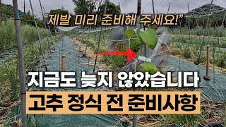 고추 모종 피해를 막는 가장 현실적인 방법 | 고추 정식 전 준비사항