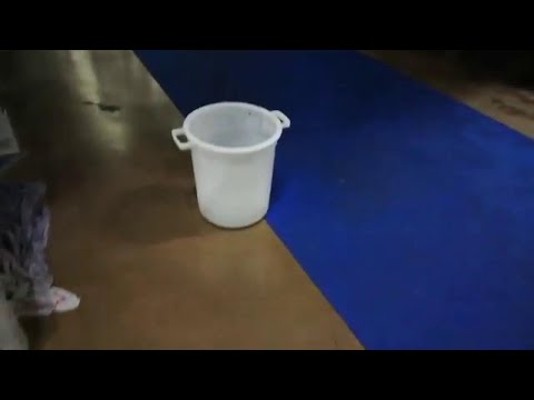 Latisana, piove nel palazzetto dello sport: secchi e bacinelle per raccogliere l'acqua