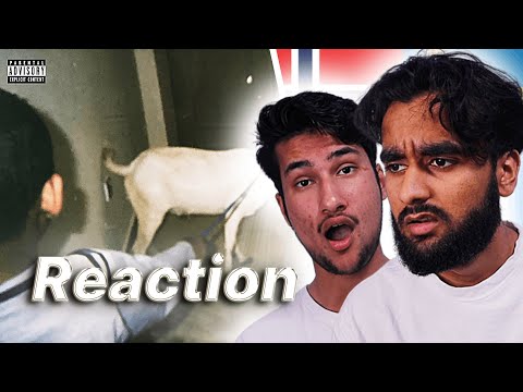 NORWEGIANS REACT TO YASIN - PISTOLER POESI OCH SEX (ALBUM REVIEW)