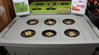Homemade Hydroponics | Kratky Lettuce Grow Part #1