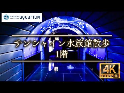 【4K】サンシャイン水族館 1階 Sunshine Aquarium First Floor  Tokyo Japan