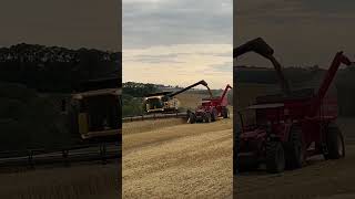 CR 9060 💀🔥 #mercadoagricola #agro #farming