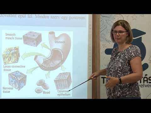 olajbetegség és paraziták helminthosporium turcicum kémiai védekezés