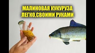 Куркума для ловли карася