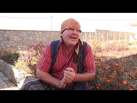 Lalushi 2019- Taksirati Pleqve