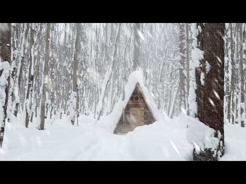 A-SHELTER STUCK IN THE SNOW! RETURNED TO A-SHELTER AND ADDED MORE COZY!