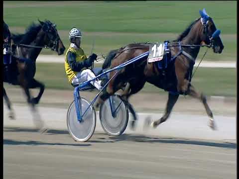 Trotto 19/04/2019 - 2ª corsa