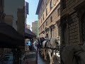 Florence S Timeless Charm A Horse Drawn Carriage Ride Through The Historic Streets Of Italy
