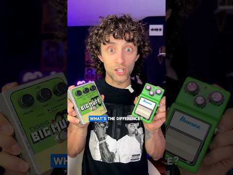 OVERDRIVE vs. FUZZ vs. DISTORTION 🎸