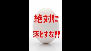 【１分間たまご】この1分間を目に焼き付けろ！！