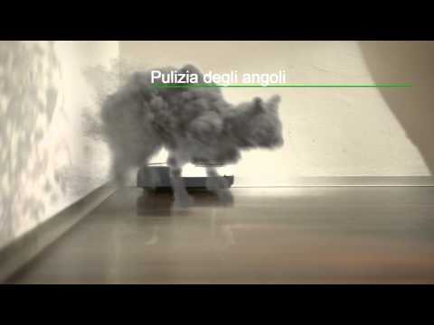 Gatti di Polvere Video