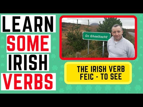 How to talk in Irish - the verb Feic - to see