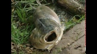Зимняя рыбалка в сергиевом посаде