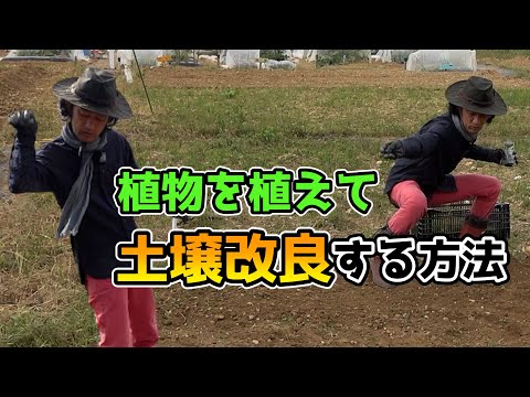 秋に蒔く緑肥は何ですか？当店TOP3をお届けします！  庭園