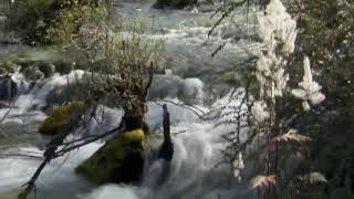 Maher Zain ft Mesut Kurtis SubhanAllah