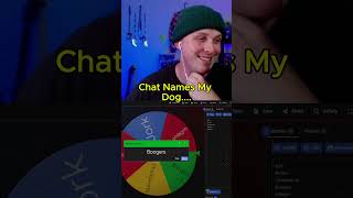 My Chat Named My Dog... #streamer #twitch #nintendogs