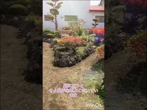 冬にツツジを保護するにはどうすればよいですか？この多量の開花植物を維持するにはどうすればよいでしょうか?  庭園