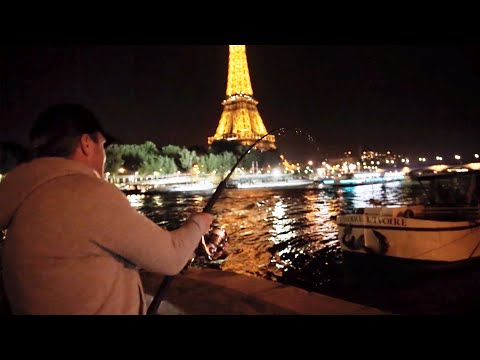 UN MONSTRE EN PLEIN PARIS - Cyril Chauquet