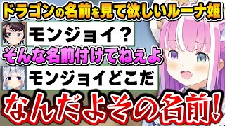 ドラゴンに素敵な名前を付けるも、なかなか気づいてくれないかなたんにヤキモキするルーナ姫～ルーナ姫の命名まとめ～【ホロドラゴンマイクラ/姫森ルーナ/天音かなた/ホロライブ切り抜き】