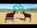 Okapi Battle In Planet Zoo