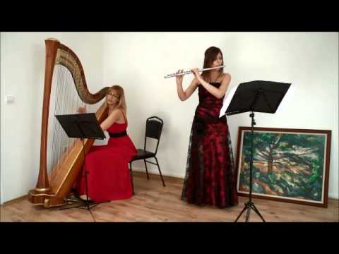 Piazzolla Libertango-  Fascination duo
