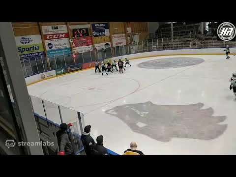 HyRi - Pelicans TEAM