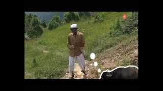 Dhondha Padigai Bhaisi (Full Video Song Garhwali) 