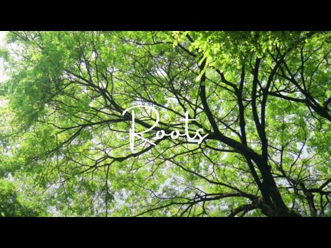 Roots - Jennifer Jess
