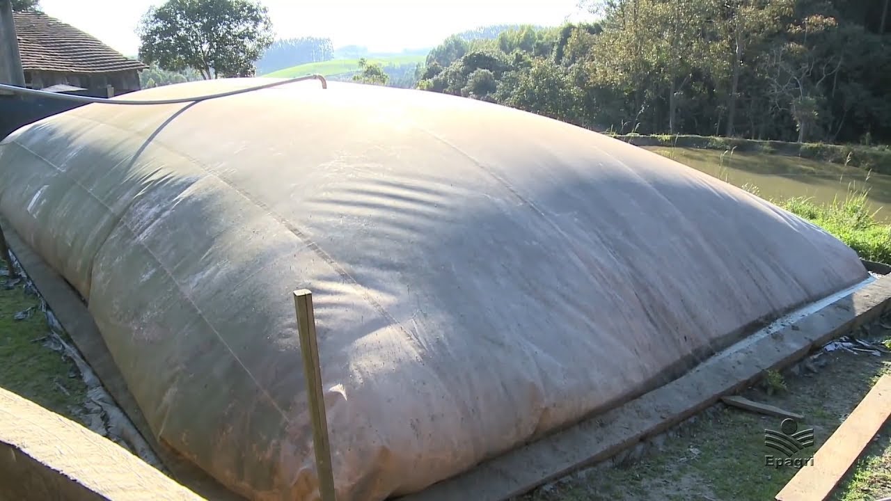 Biodigestor: mais economia na propriedade rural!