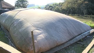 Biodigestor: mais economia na propriedade rural!
