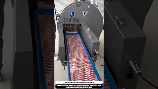 Satisfying Machine Shaves Frozen Meat Into Thin Slices