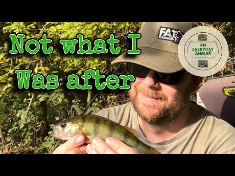 Barbel and Chub fishing on the River Thames - Farnham Angling