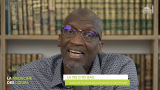 La bonne monture pour traverser ce bas monde