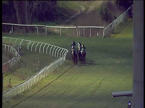 Galoppo 09/01/2019 - 4ª corsa