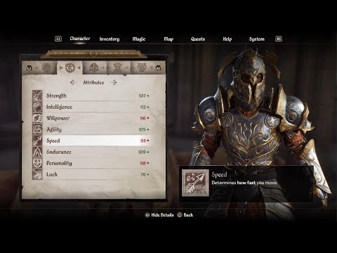 Oblivion Remastered Attribute Damage