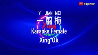 Download lagu 一翦梅 Yi Jian Mei Female | Mandarin Karaoke No Vocal mp3