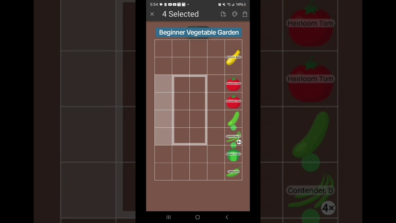 Here's a beginner friendly vegetable garden layout for a 2 ft by 4 ft raised bed