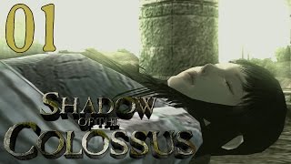 Shadow Of The Colossus HD - Intro & Colossus #1 - Valus - Let's Play Gameplay Walkthrough (PS3)