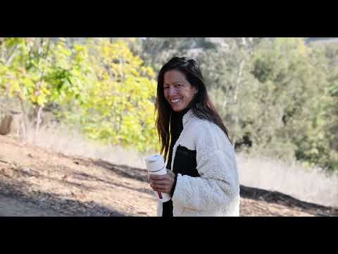 The Elixir Mixer - An Essential For Your Daily Beverage Ritual