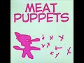 Meat Puppets - I Don't