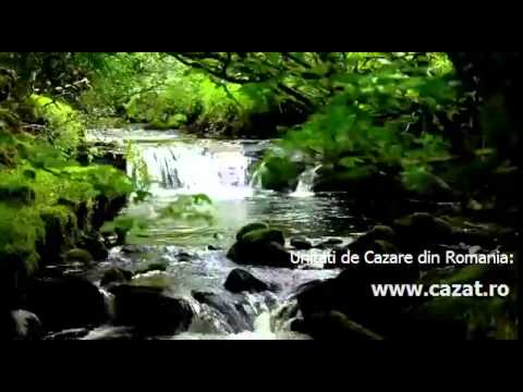 Cazare Furtunesti, Buzau - Cazat.ro