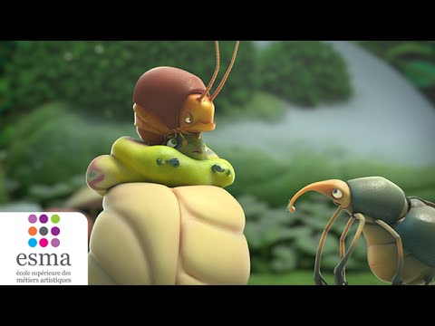 Sweet Cocoon - ESMA 2014