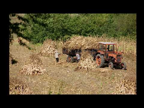 Balaciul copilăriei mele